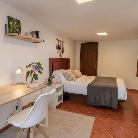 Vakantiehuis Teide Eco Harmony *