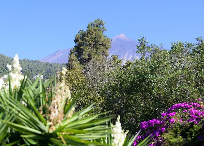 Teide Eco Harmony Holiday home *