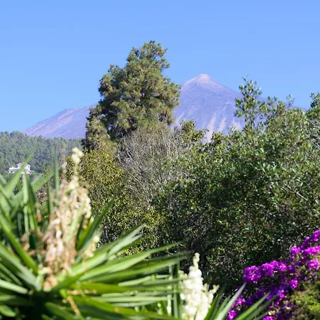 Teide Eco Harmony Holiday home *