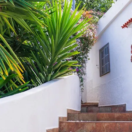 Teide Eco Harmony Holiday home El Amparo