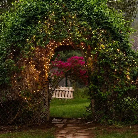 Teide Eco Harmony بيت للعطل El Amparo