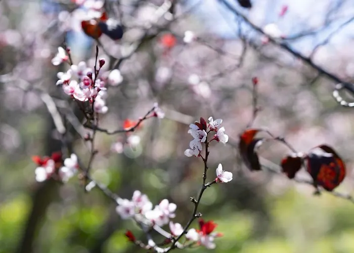 Teide Eco Harmony Сasa de vacaciones *