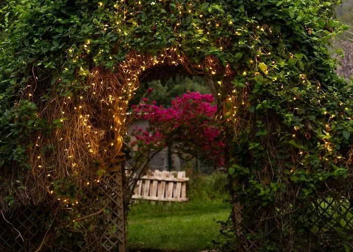 Teide Eco Harmony Сasa de vacaciones El Amparo